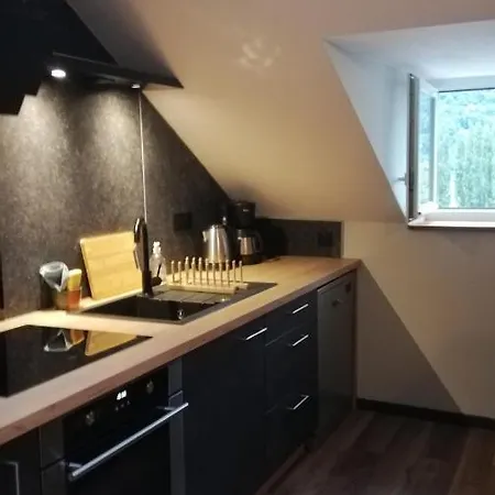 Sous Combles Au Coeur De Luz Apartament